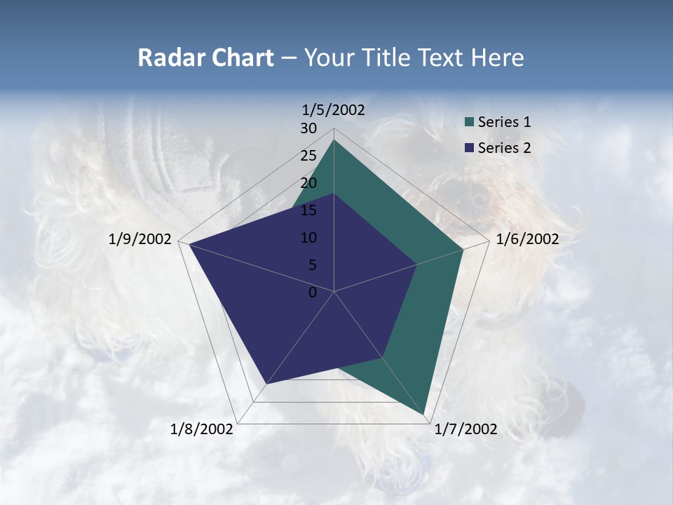 Schnauzer Ears Boot PowerPoint Template