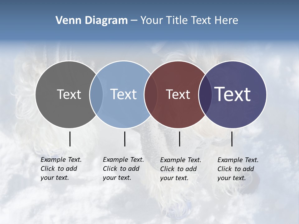 Schnauzer Ears Boot PowerPoint Template