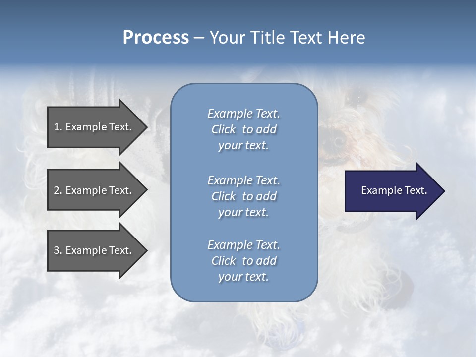 Schnauzer Ears Boot PowerPoint Template