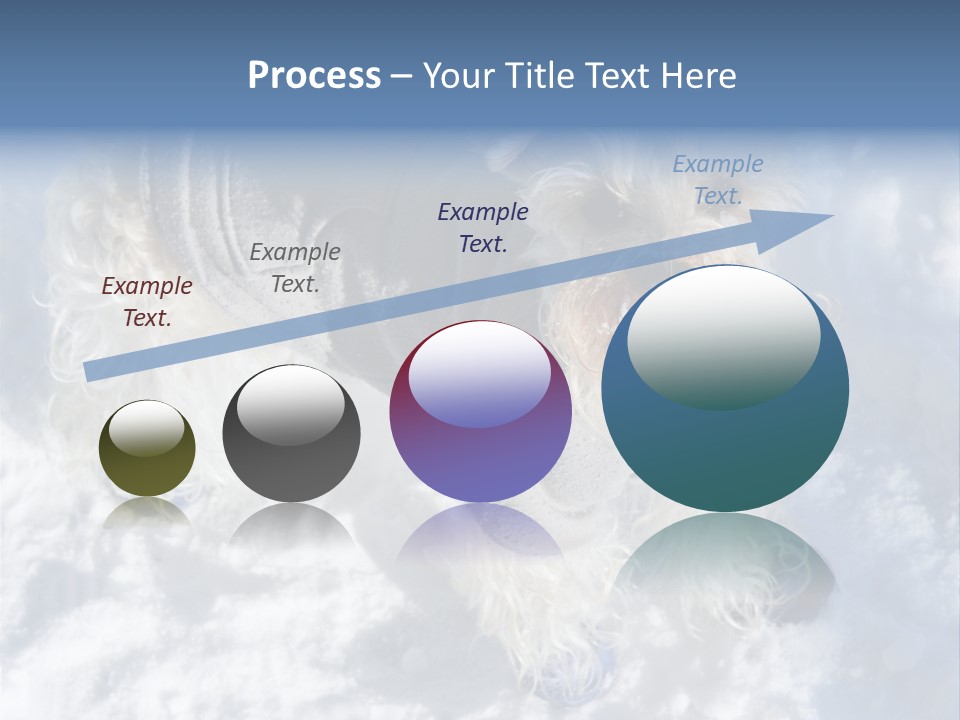 Schnauzer Ears Boot PowerPoint Template