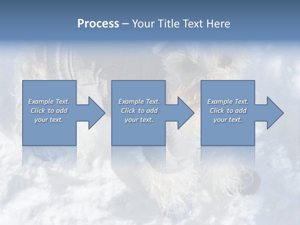 Schnauzer Ears Boot PowerPoint Template