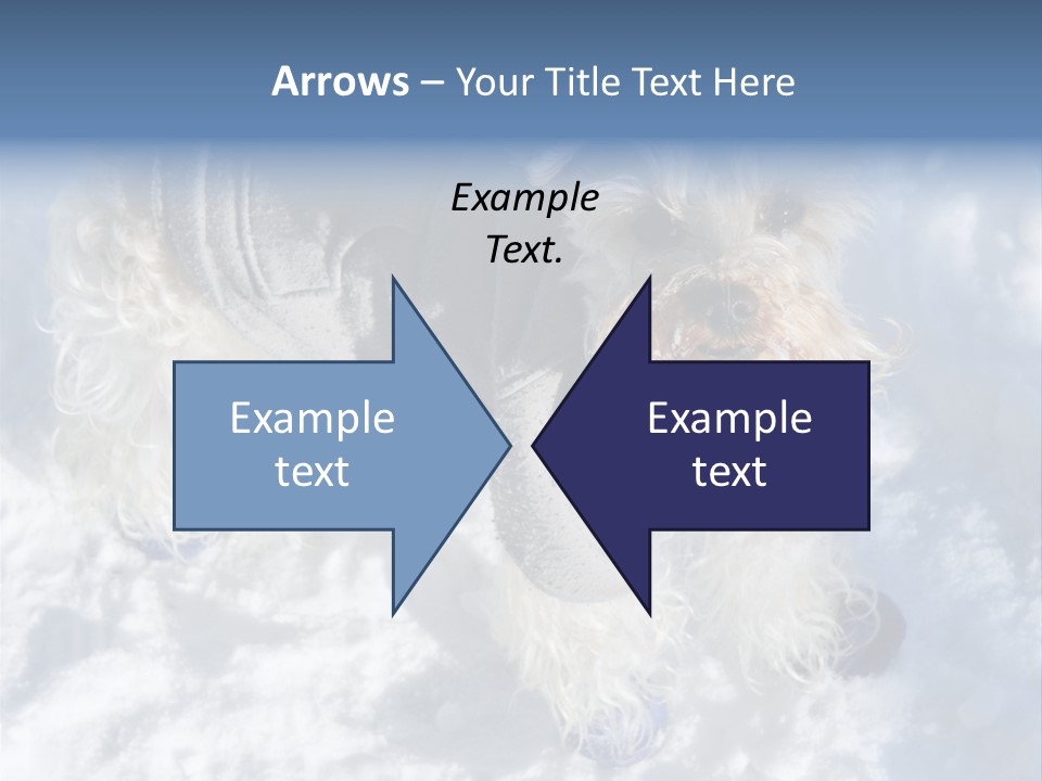 Schnauzer Ears Boot PowerPoint Template