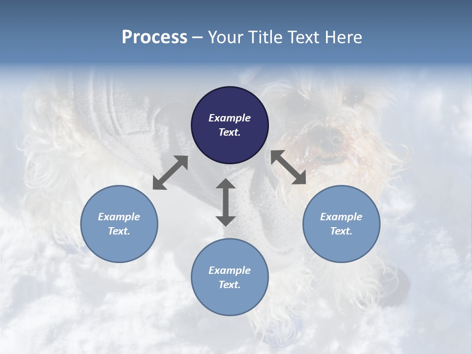 Schnauzer Ears Boot PowerPoint Template