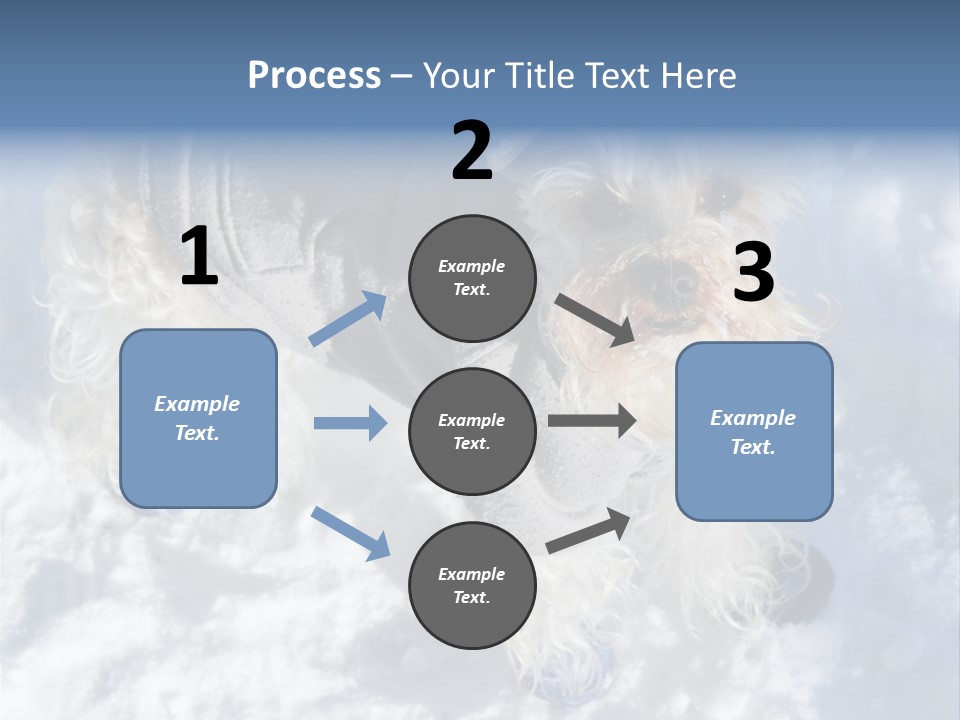 Schnauzer Ears Boot PowerPoint Template