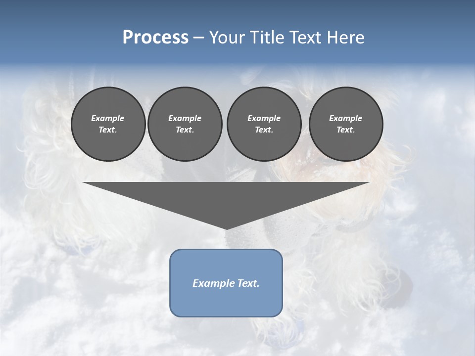 Schnauzer Ears Boot PowerPoint Template