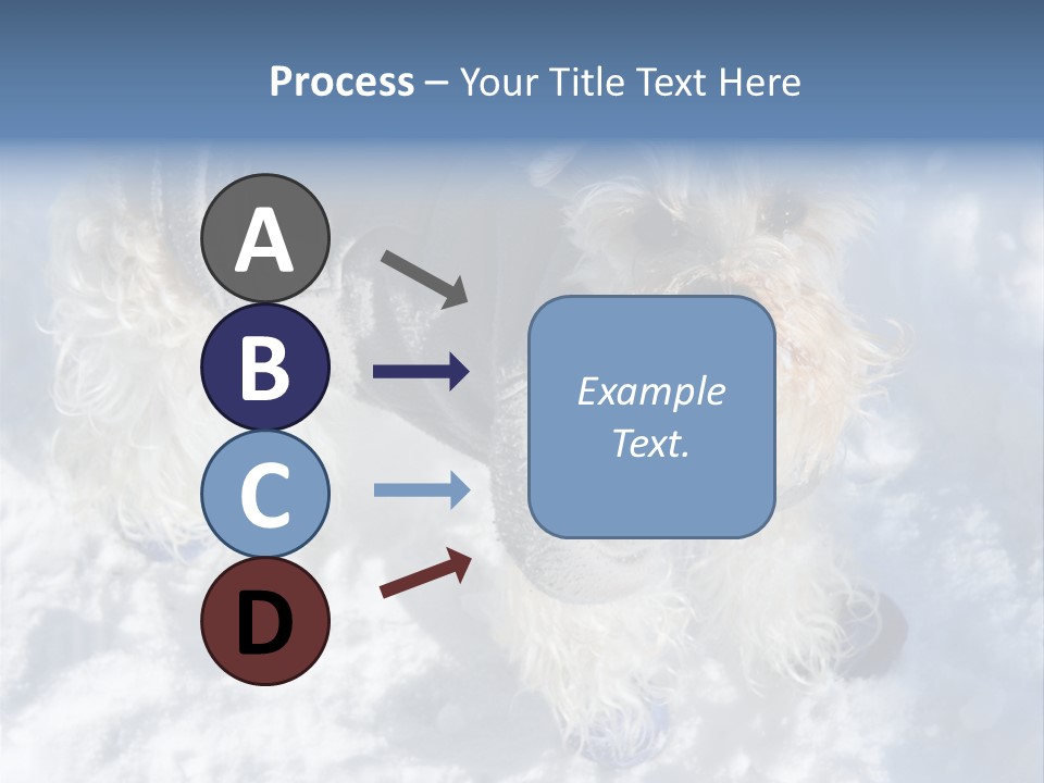Schnauzer Ears Boot PowerPoint Template