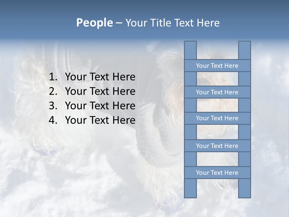 Schnauzer Ears Boot PowerPoint Template