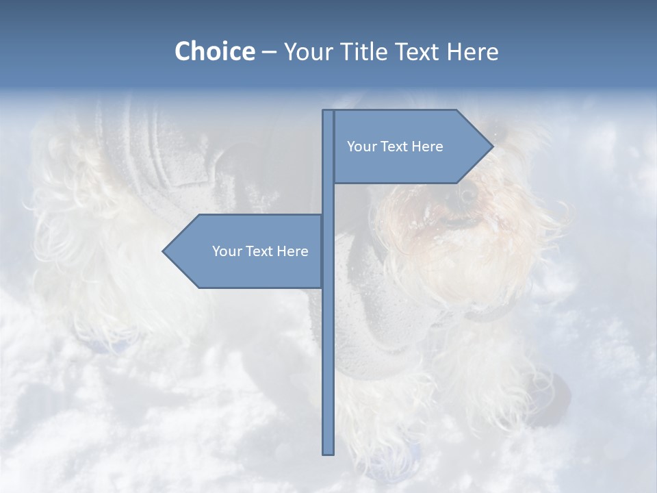 Schnauzer Ears Boot PowerPoint Template