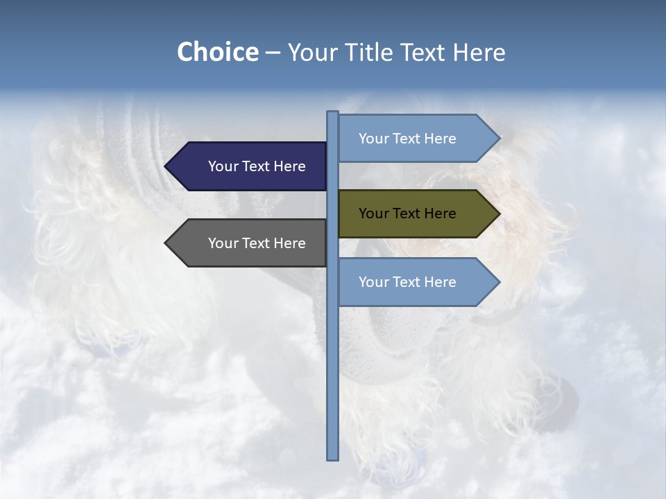 Schnauzer Ears Boot PowerPoint Template
