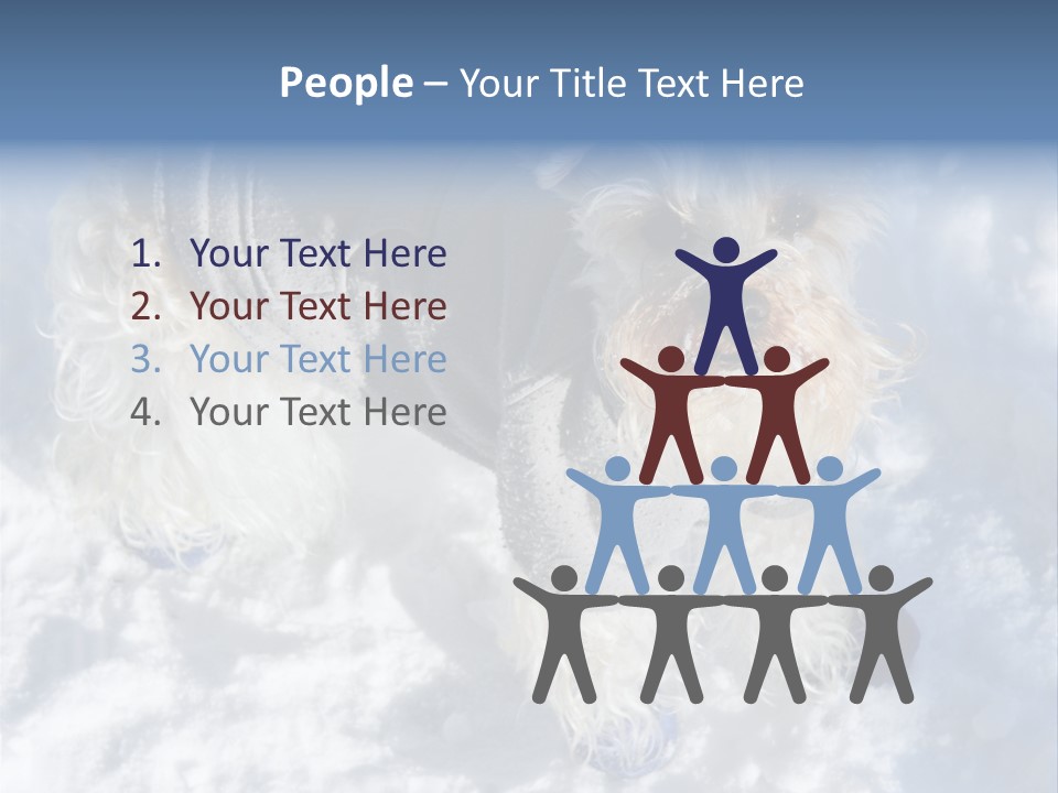 Schnauzer Ears Boot PowerPoint Template