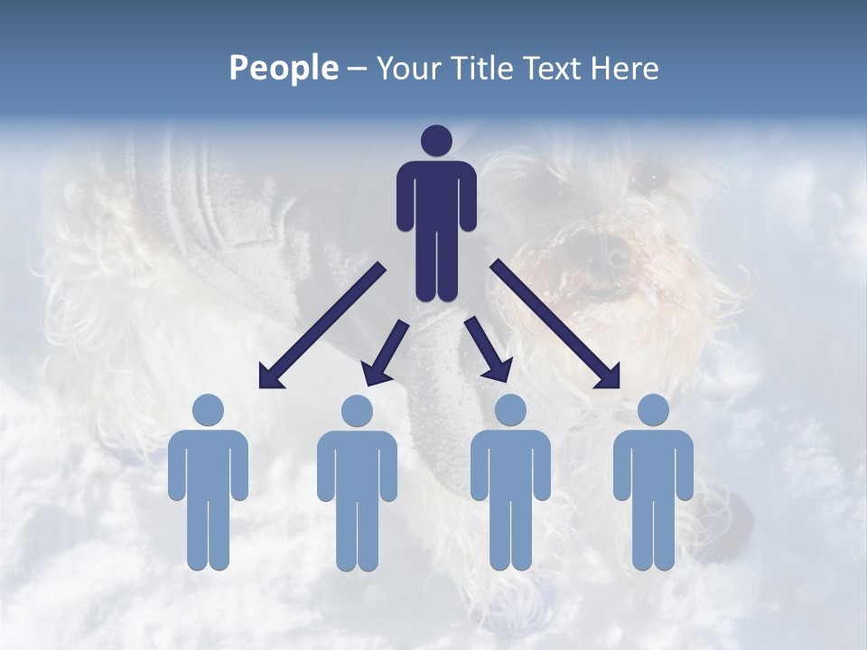 Schnauzer Ears Boot PowerPoint Template