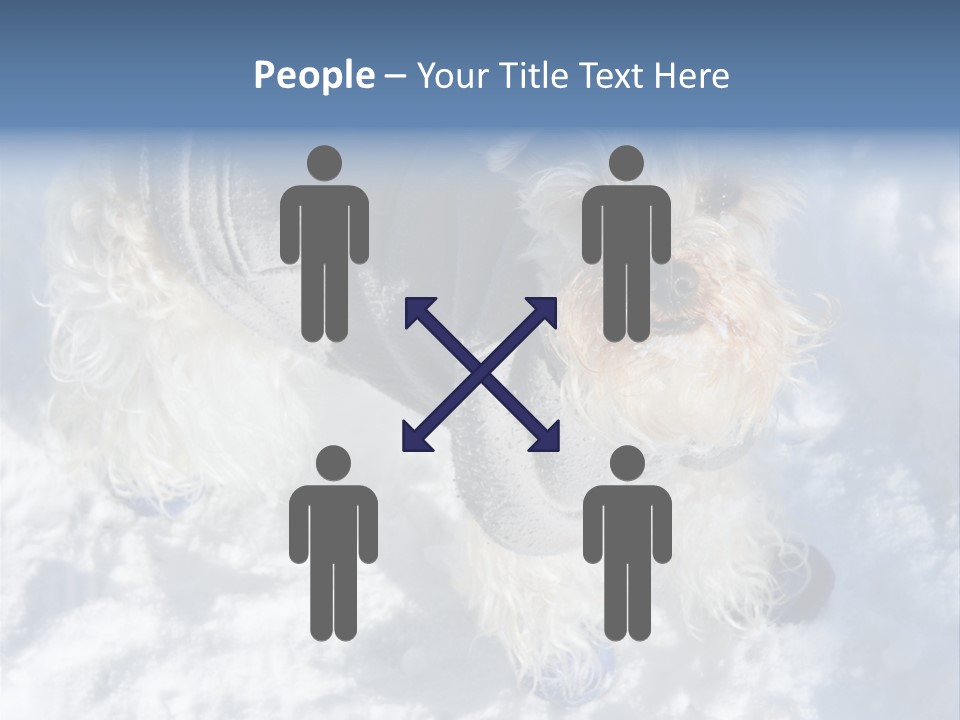 Schnauzer Ears Boot PowerPoint Template