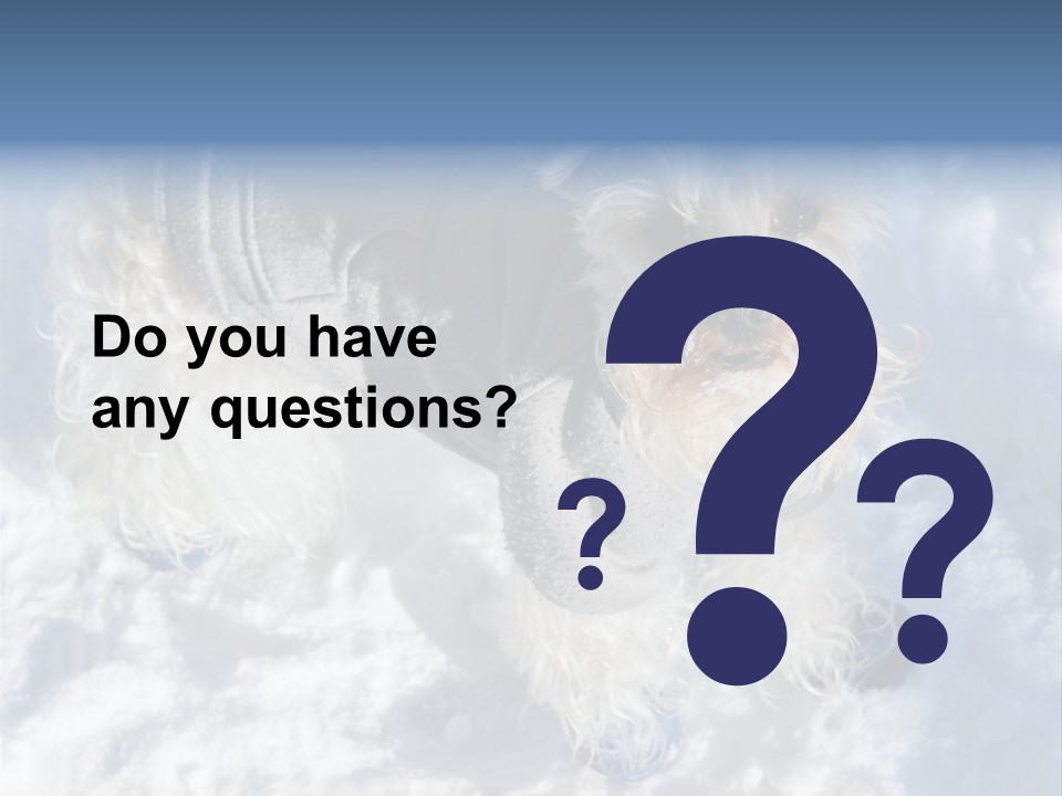 Schnauzer Ears Boot PowerPoint Template