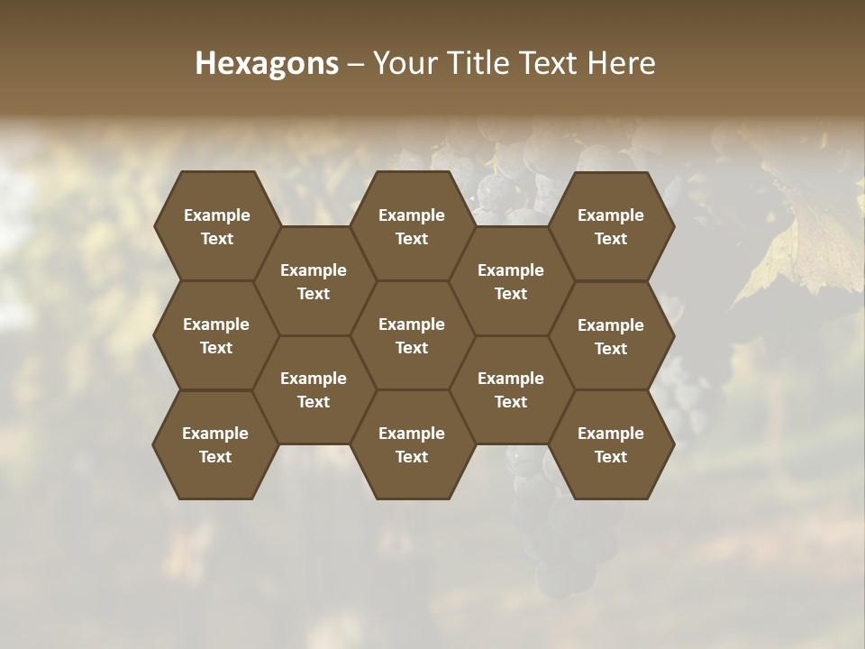 Branch Fruit Grape PowerPoint Template