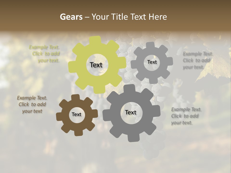 Branch Fruit Grape PowerPoint Template