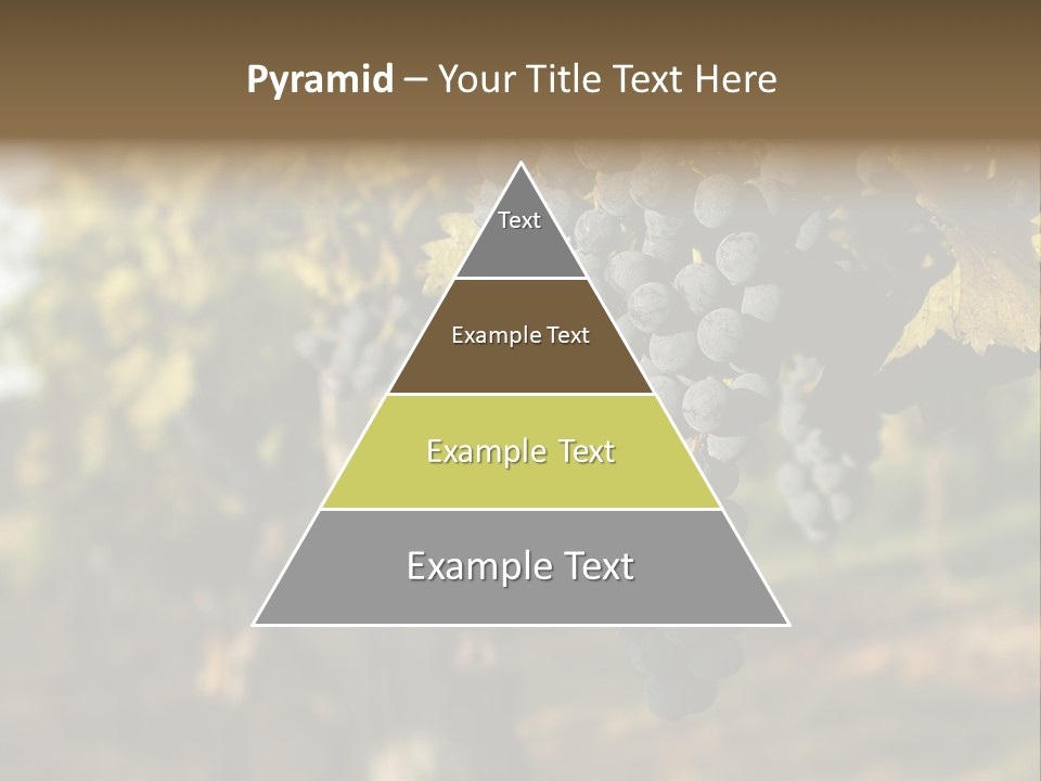 Branch Fruit Grape PowerPoint Template