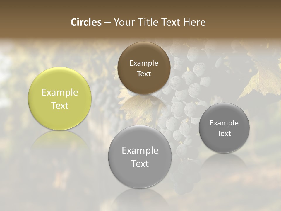 Branch Fruit Grape PowerPoint Template