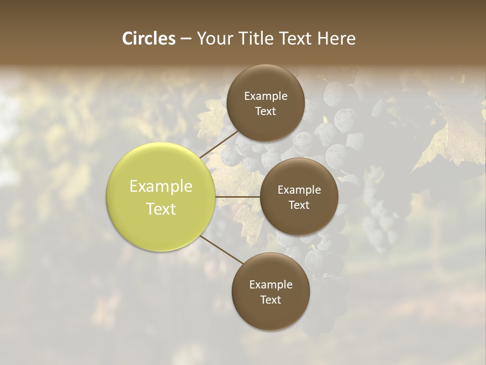 Branch Fruit Grape PowerPoint Template