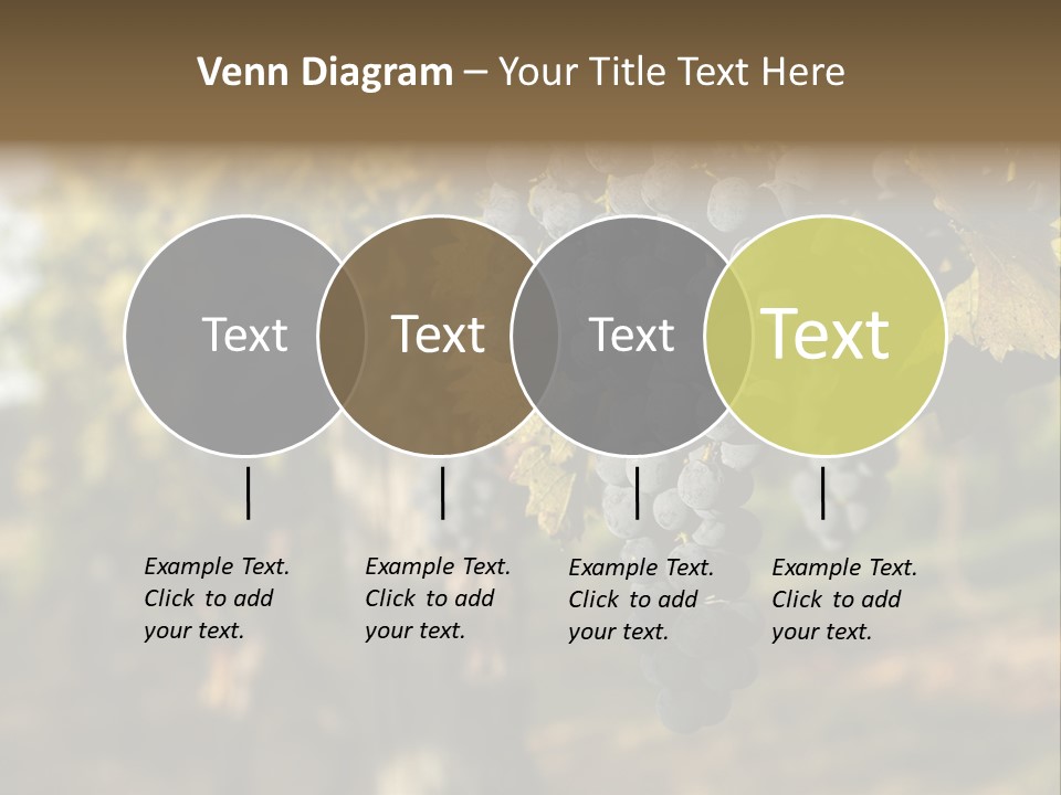 Branch Fruit Grape PowerPoint Template