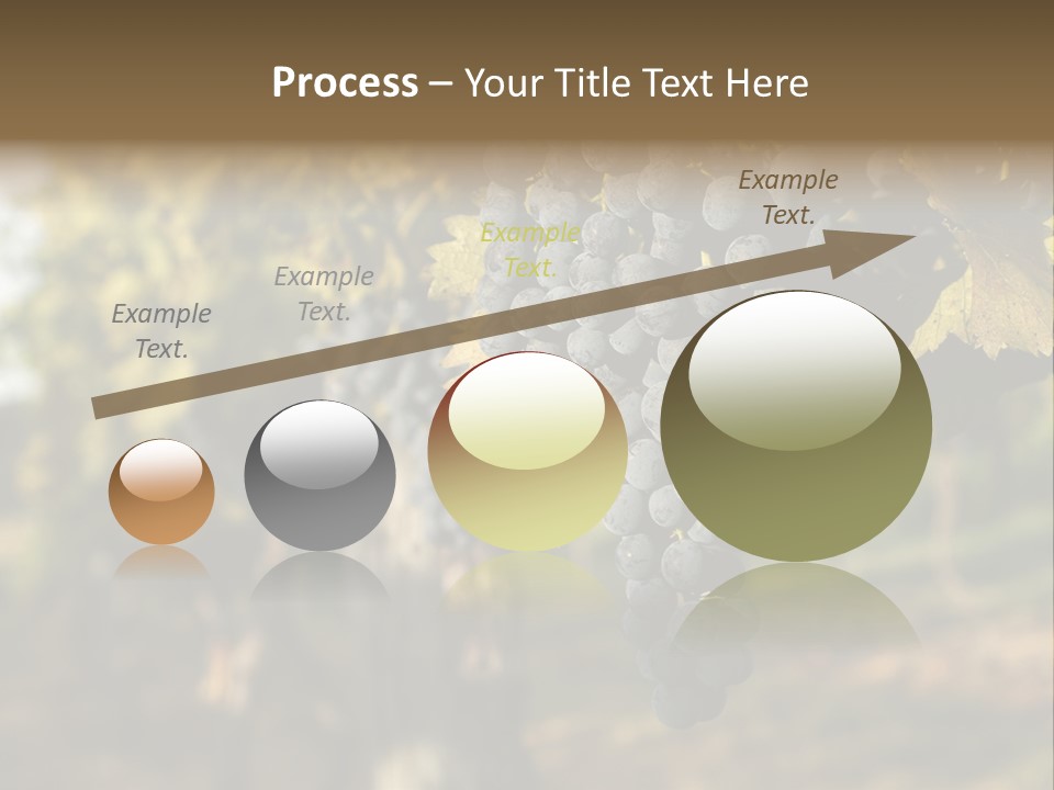 Branch Fruit Grape PowerPoint Template