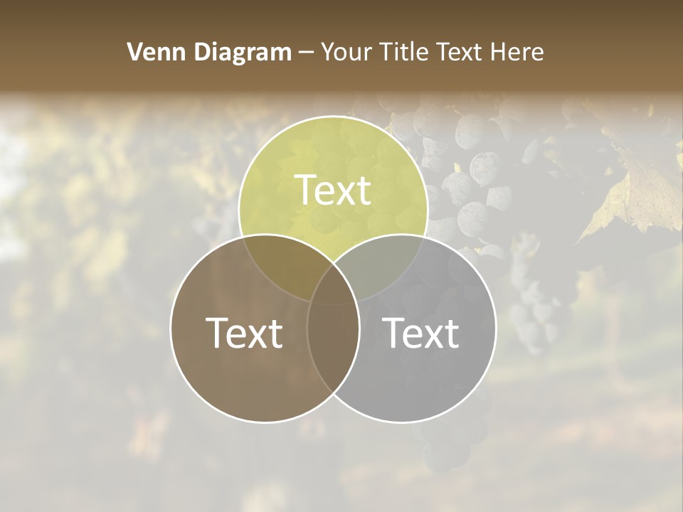 Branch Fruit Grape PowerPoint Template