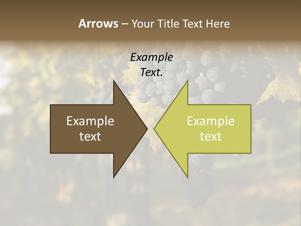 Branch Fruit Grape PowerPoint Template