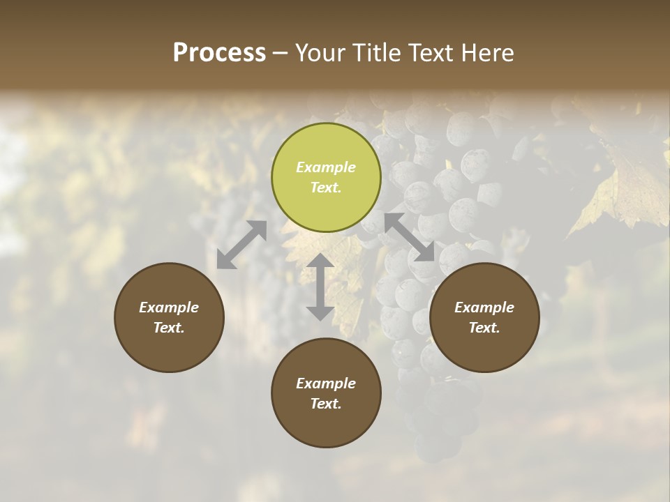 Branch Fruit Grape PowerPoint Template