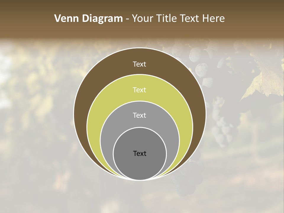 Branch Fruit Grape PowerPoint Template