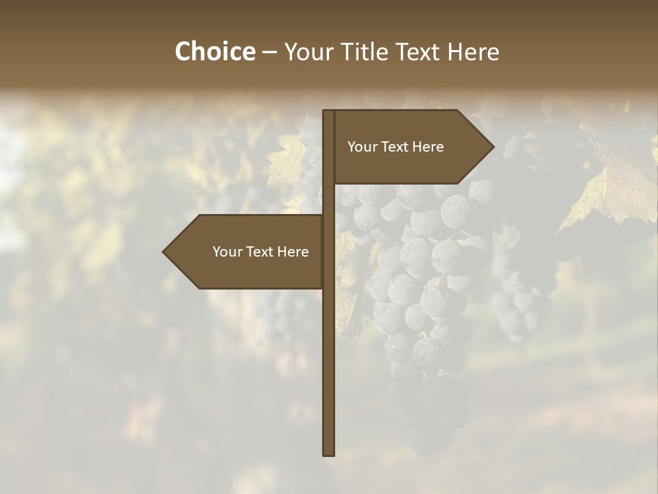 Branch Fruit Grape PowerPoint Template