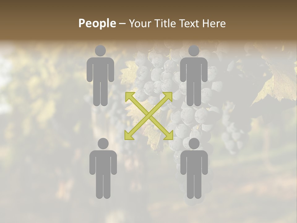 Branch Fruit Grape PowerPoint Template