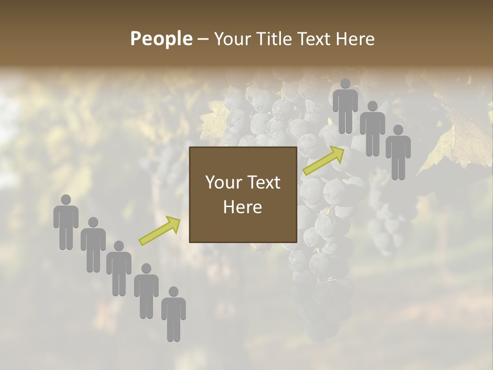 Branch Fruit Grape PowerPoint Template