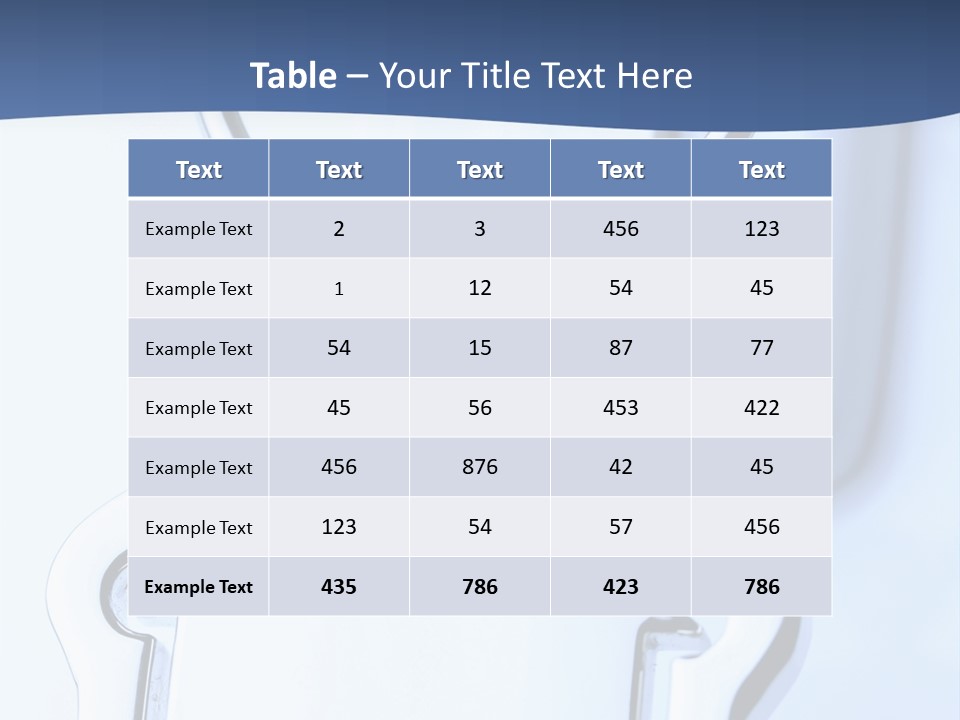 Macro Accessibility Shot PowerPoint Template