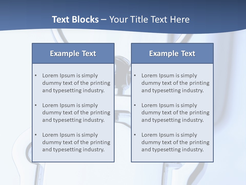 Macro Accessibility Shot PowerPoint Template