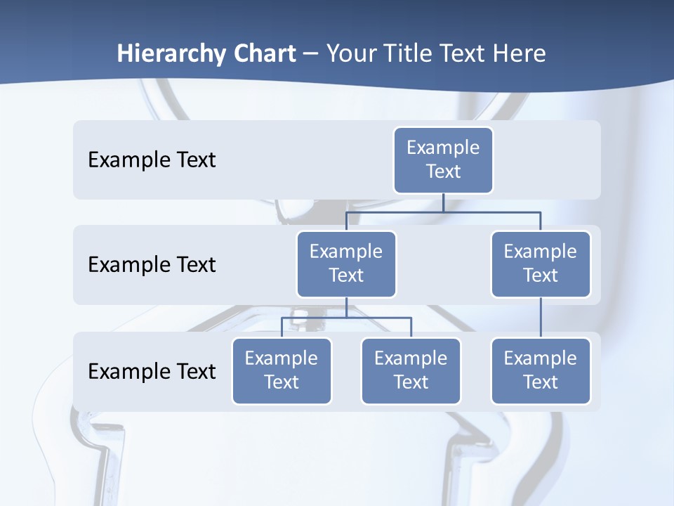 Macro Accessibility Shot PowerPoint Template