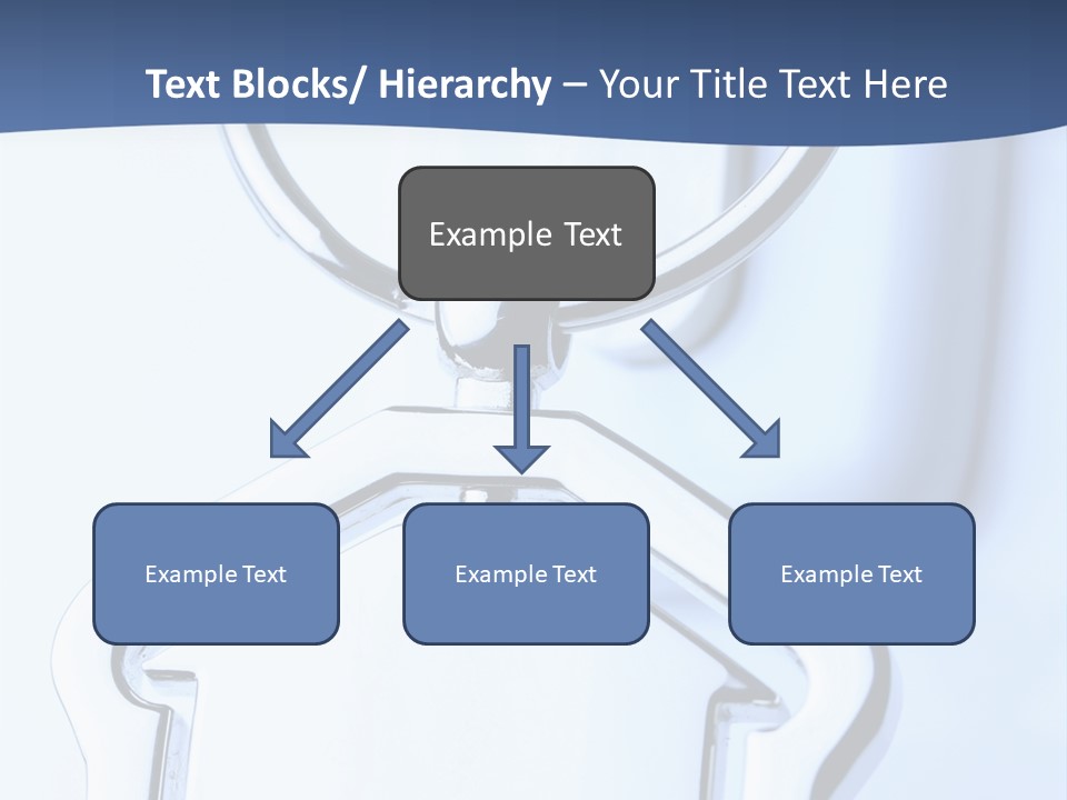 Macro Accessibility Shot PowerPoint Template