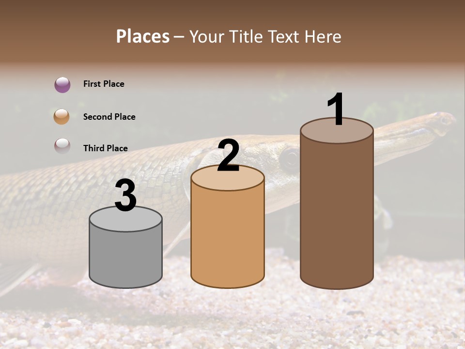 Kyle Kingdom Panorama PowerPoint Template