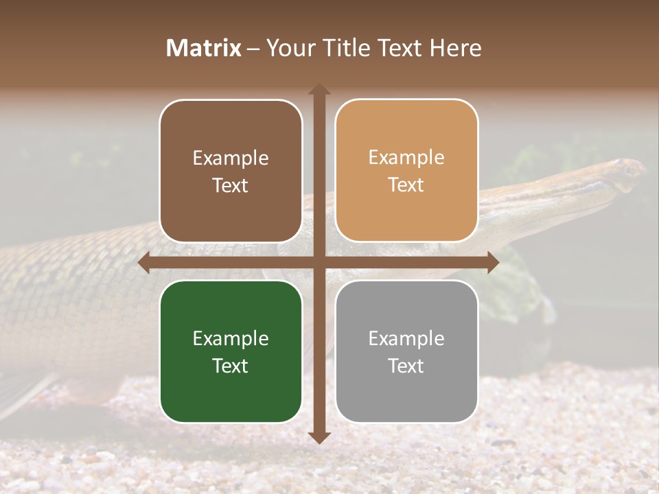 Kyle Kingdom Panorama PowerPoint Template