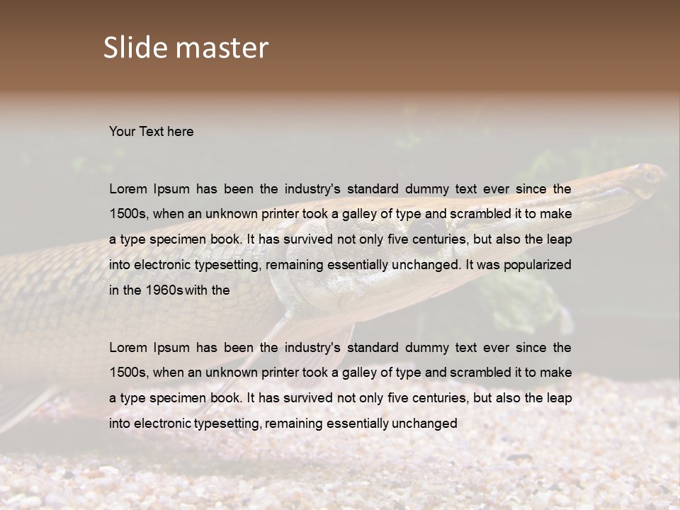 Kyle Kingdom Panorama PowerPoint Template