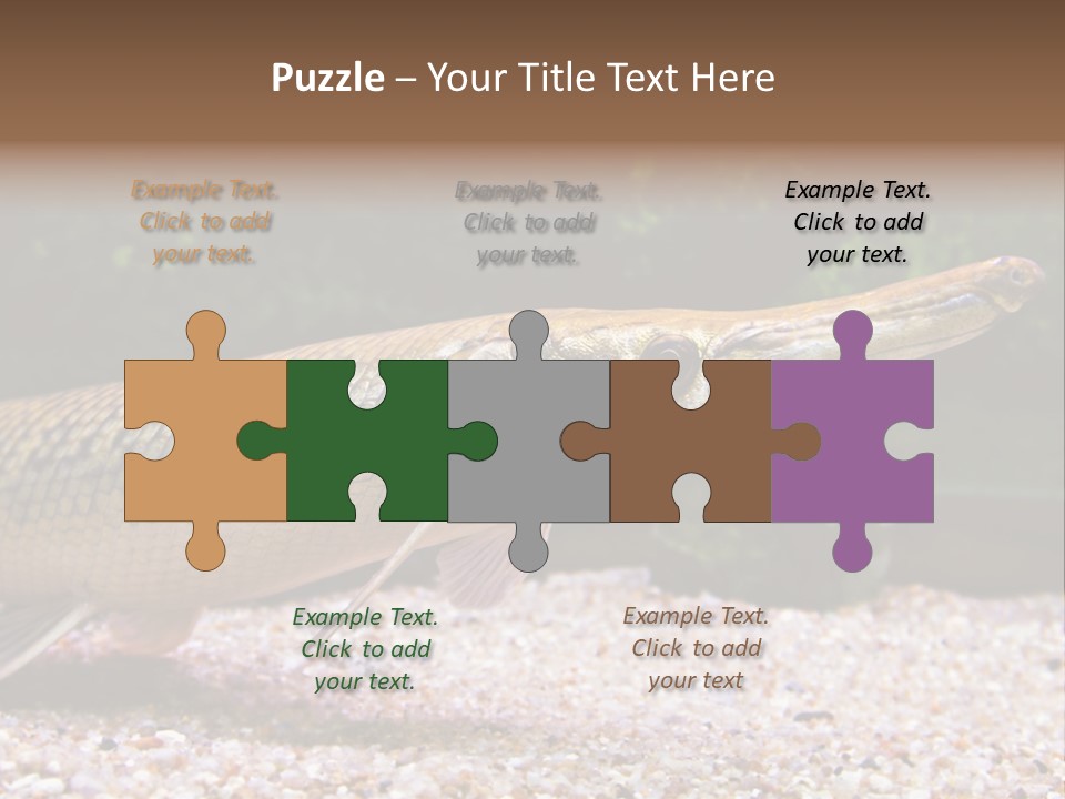 Kyle Kingdom Panorama PowerPoint Template