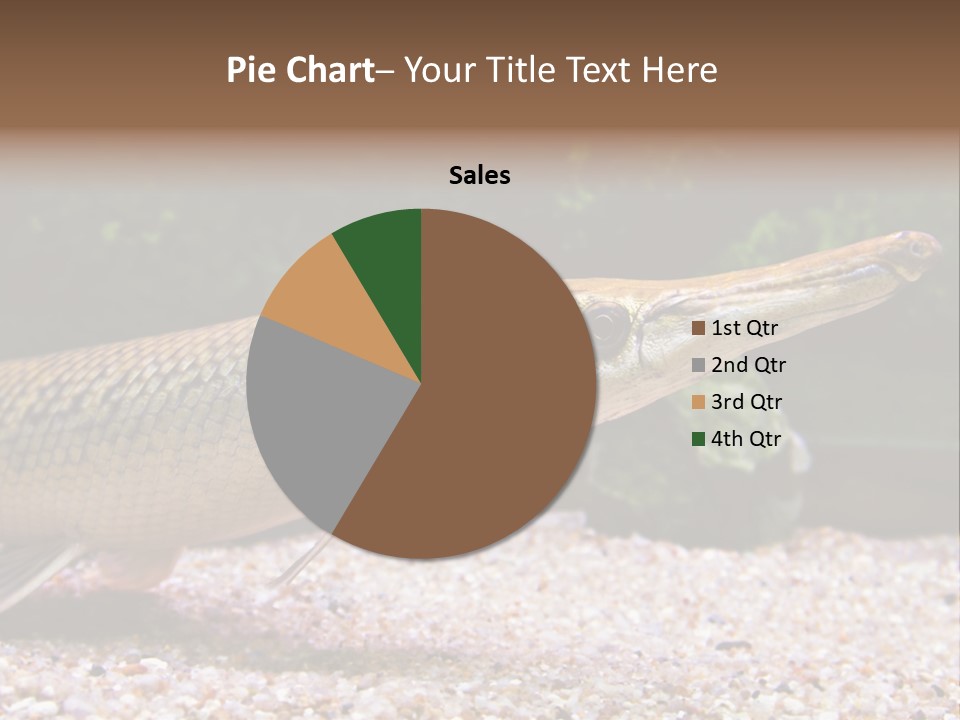 Kyle Kingdom Panorama PowerPoint Template