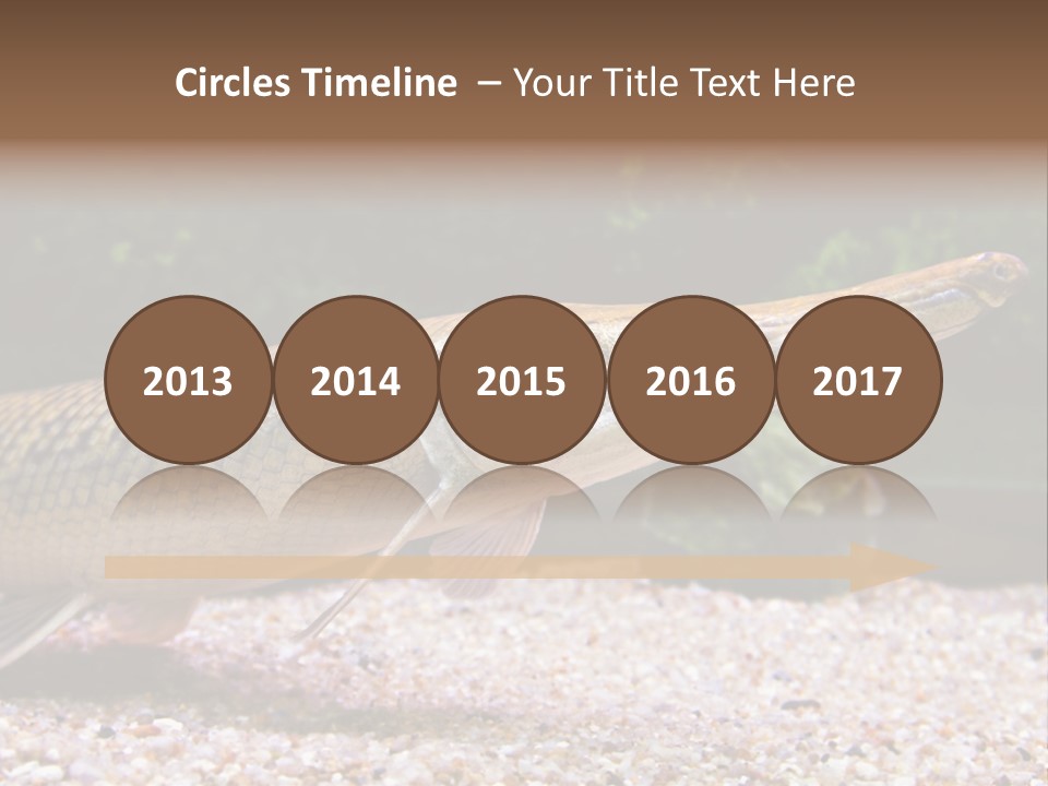 Kyle Kingdom Panorama PowerPoint Template