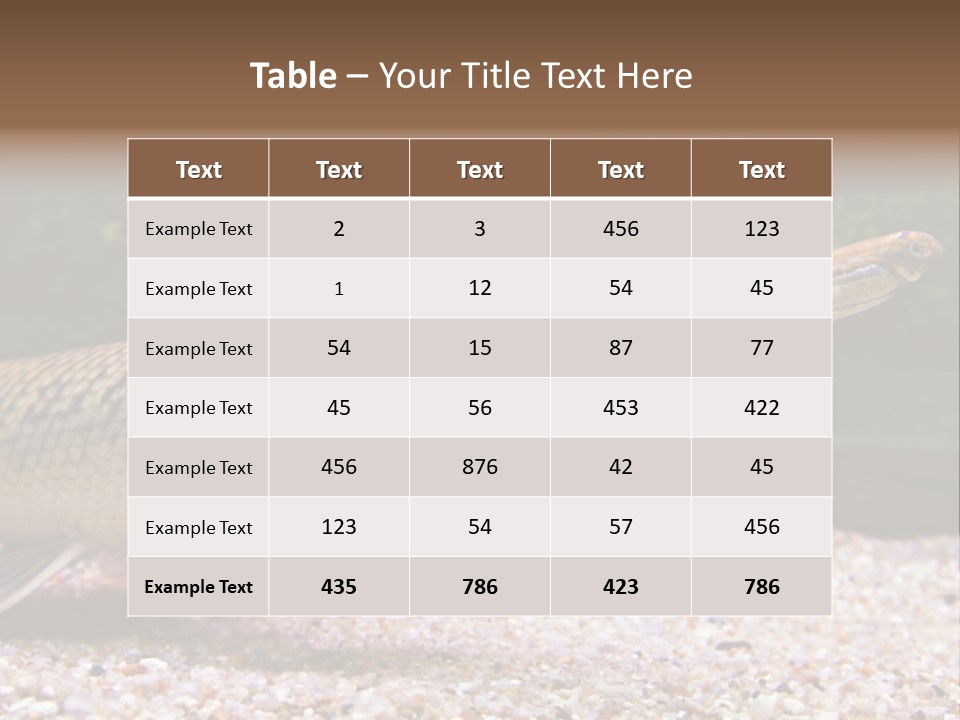 Kyle Kingdom Panorama PowerPoint Template