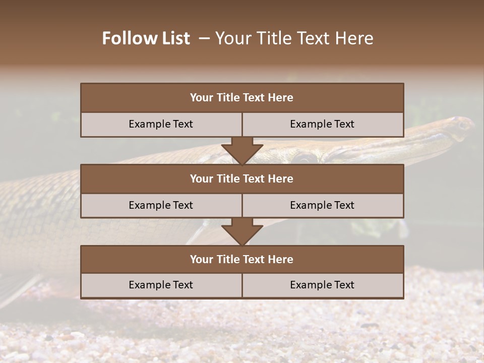 Kyle Kingdom Panorama PowerPoint Template