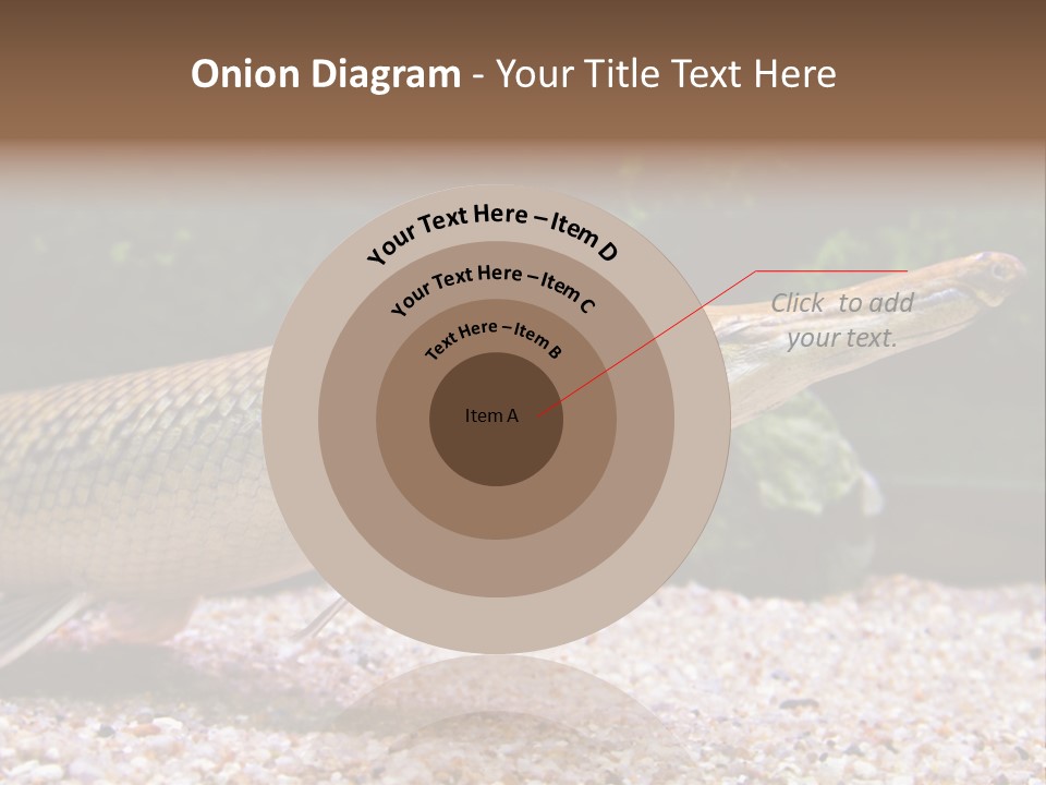 Kyle Kingdom Panorama PowerPoint Template