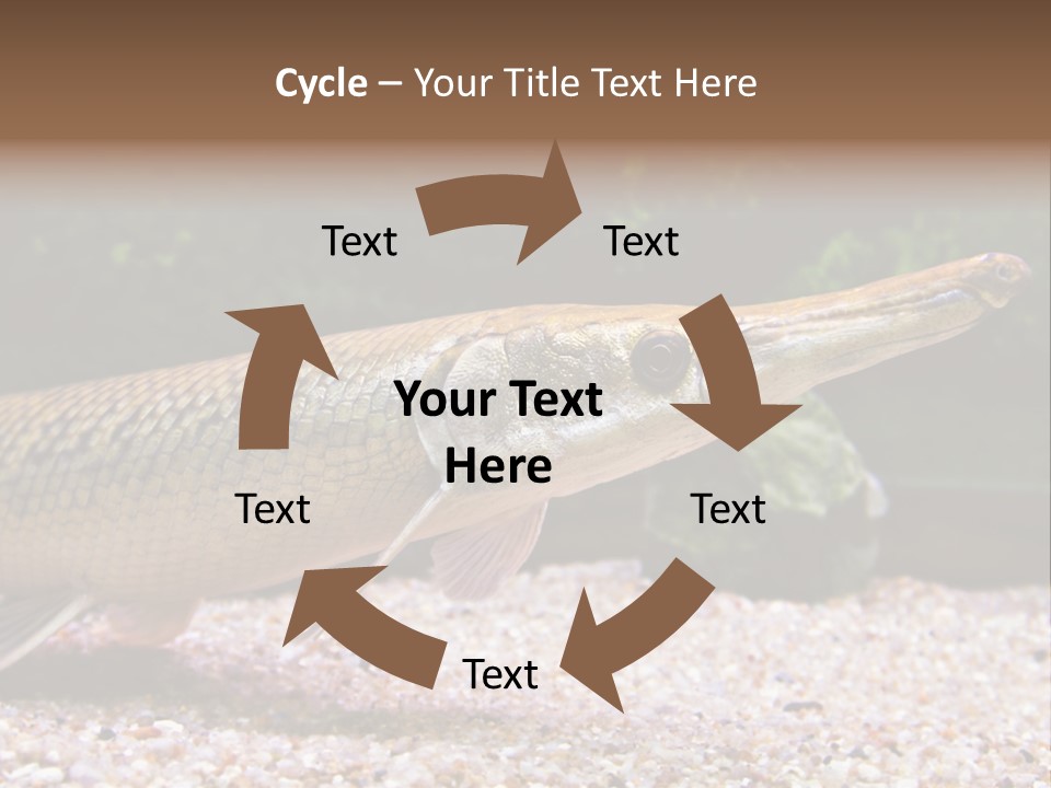 Kyle Kingdom Panorama PowerPoint Template