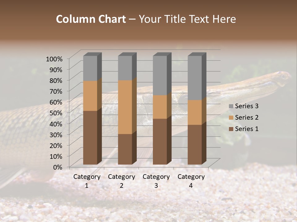 Kyle Kingdom Panorama PowerPoint Template