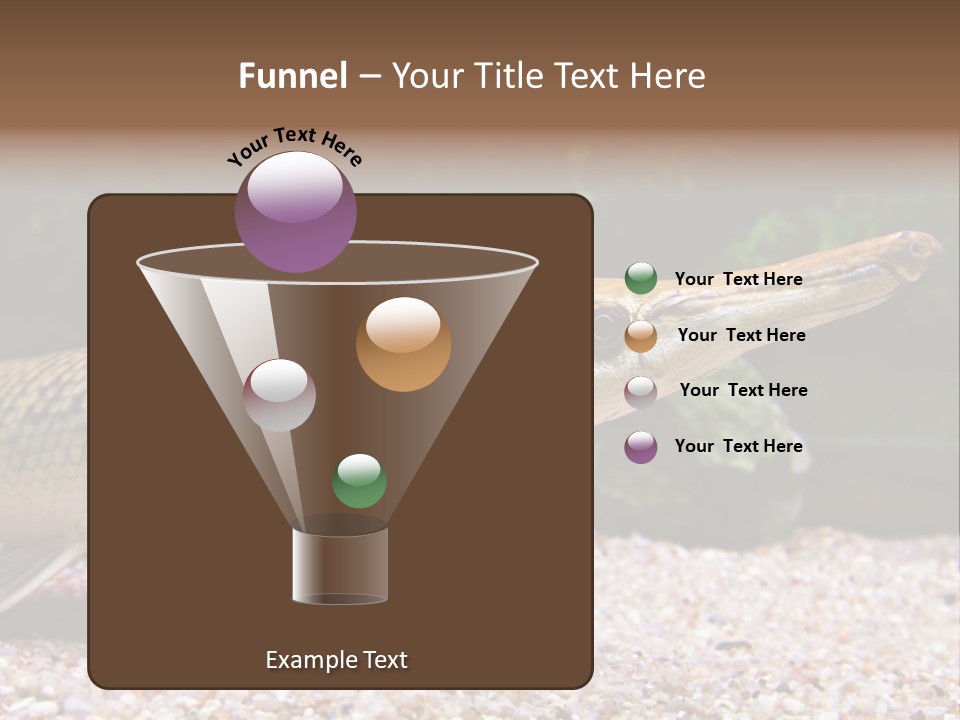 Kyle Kingdom Panorama PowerPoint Template