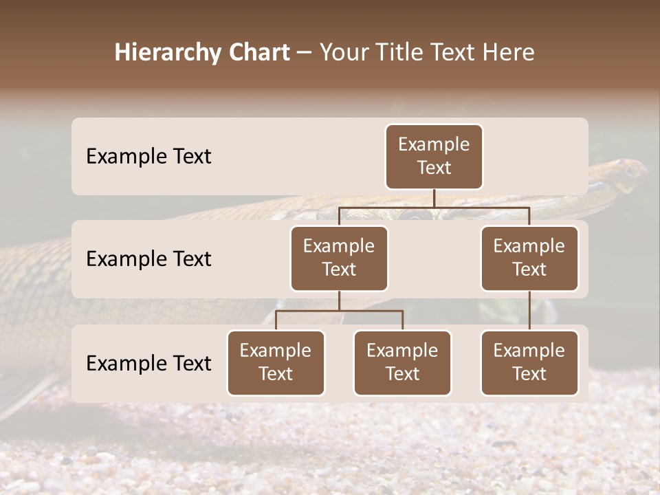 Kyle Kingdom Panorama PowerPoint Template