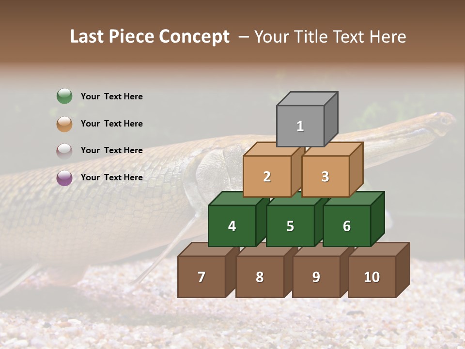 Kyle Kingdom Panorama PowerPoint Template