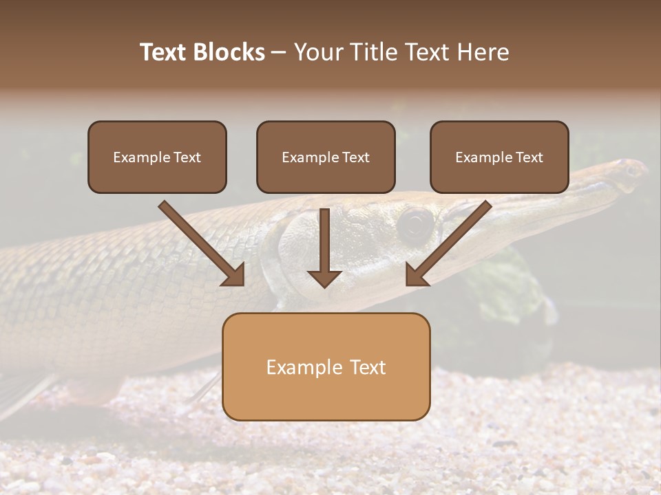 Kyle Kingdom Panorama PowerPoint Template